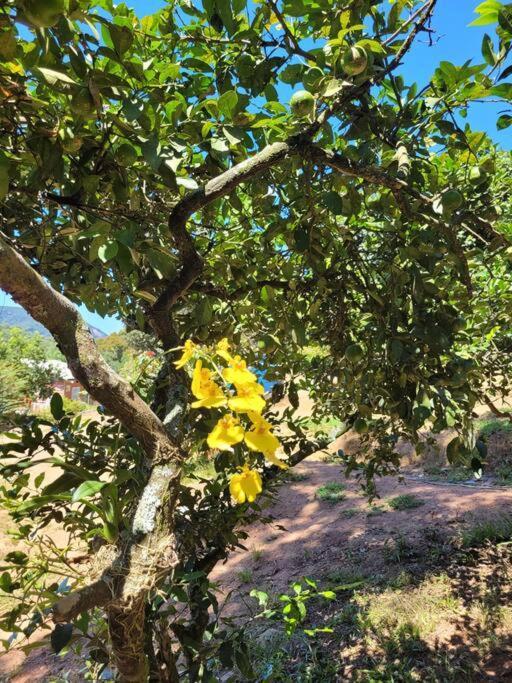 Chacara Dos Sonhos Em Mairipora Villa Ngoại thất bức ảnh